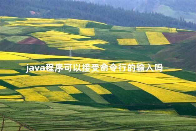 java程序可以接受命令行的输入吗