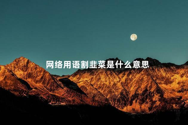 网络用语割韭菜是什么意思