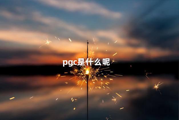 pgc是什么呢