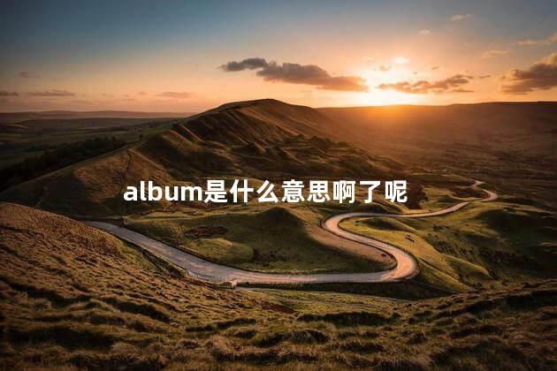 album是什么意思啊了呢