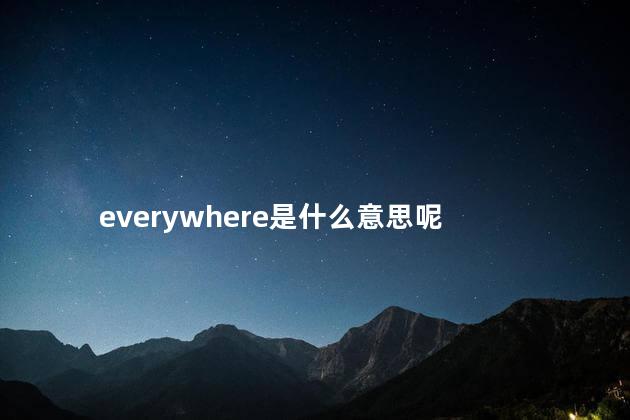 everywhere是什么意思呢