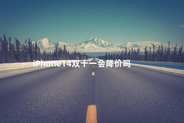 iPhone14双十一会降价吗