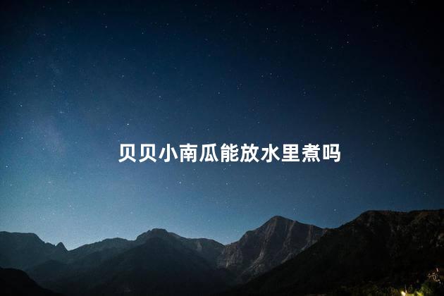 贝贝小南瓜能放水里煮吗