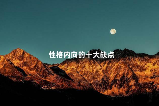 性格内向的十大缺点