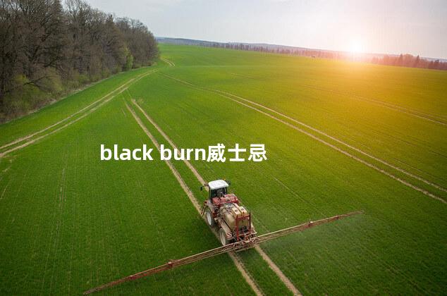 black burn威士忌