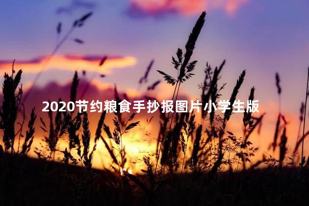 2020节约粮食手抄报图片小学生版