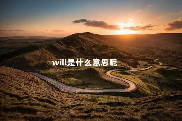 will是什么意思呢