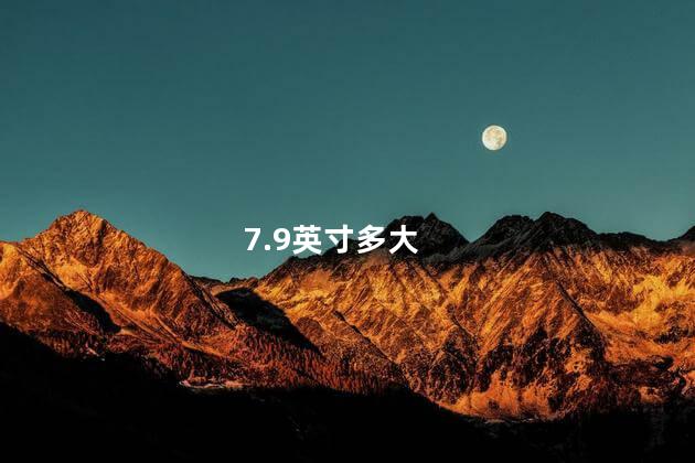 7.9英寸多大