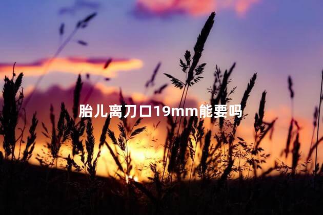 胎儿离刀口19mm能要吗