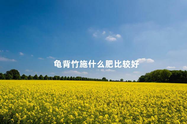 龟背竹施什么肥比较好