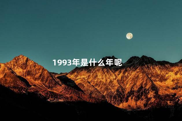 1993年是什么年呢