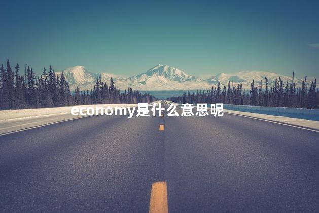 economy是什么意思呢