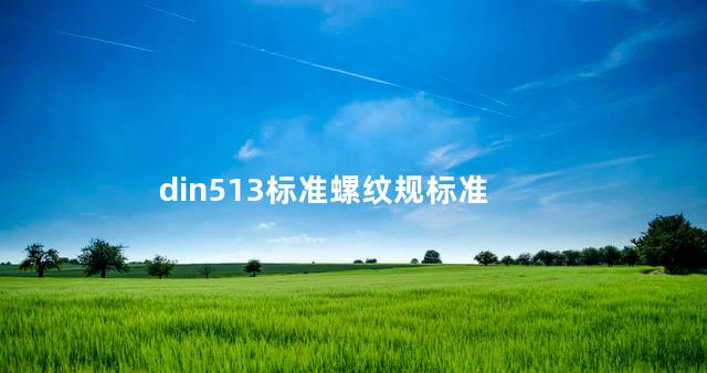 din513标准螺纹规标准