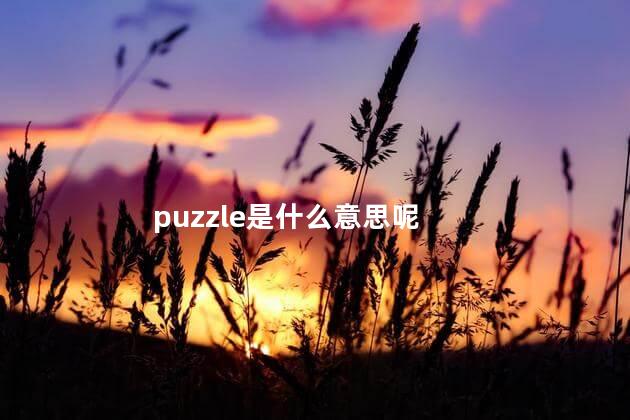 puzzle是什么意思呢