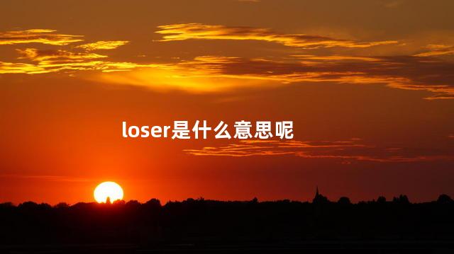 loser是什么意思呢