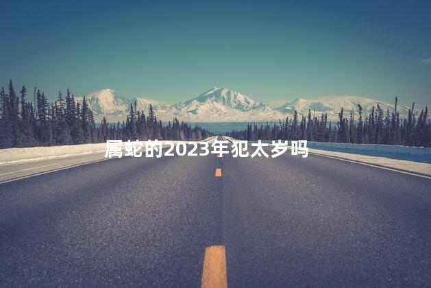 属蛇的2023年犯太岁吗