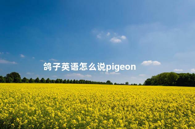 鸽子英语怎么说pigeon