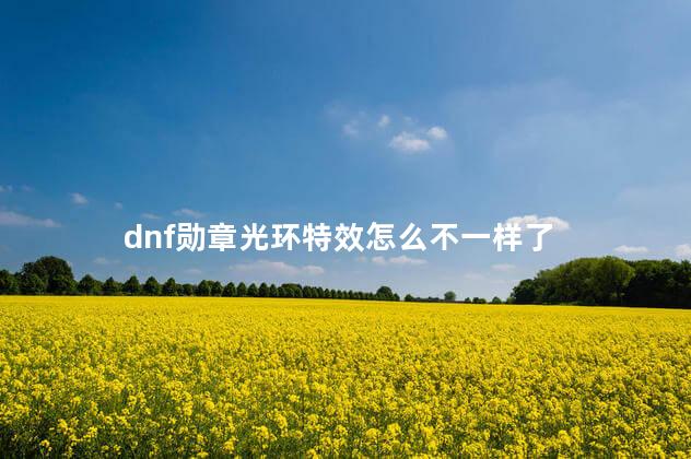 dnf勋章光环特效怎么不一样了