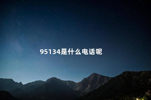 95134是什么电话呢