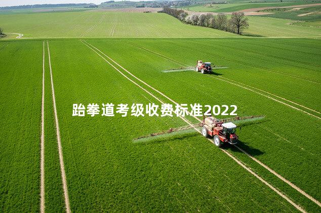 跆拳道考级收费标准2022