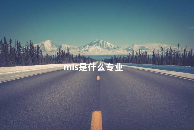 mis是什么专业