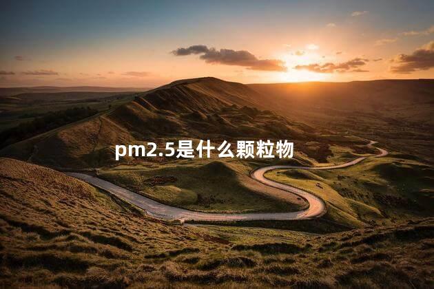 pm2.5是什么颗粒物