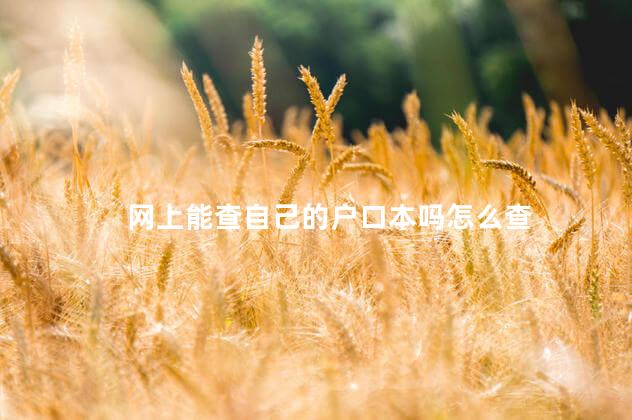 网上能查自己的户口本吗怎么查