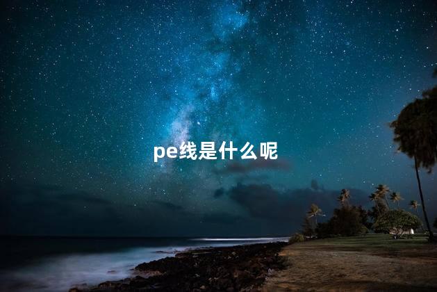 pe线是什么呢