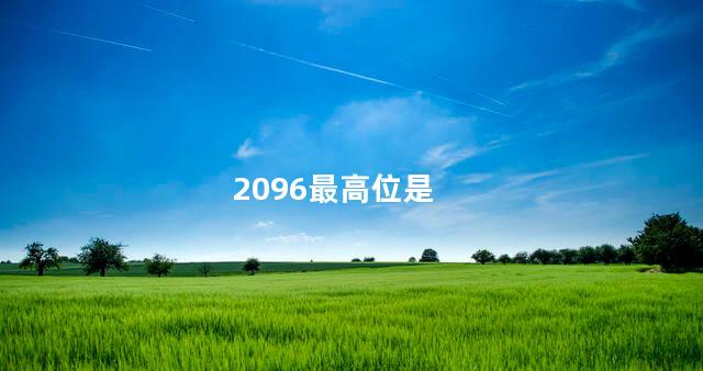 2096最高位是