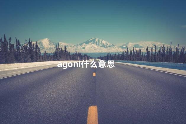 agoni什么意思