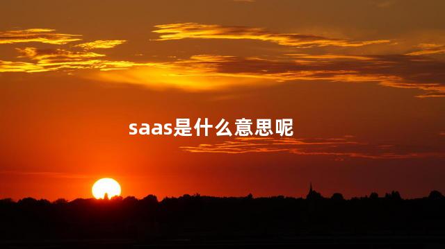 saas是什么意思呢