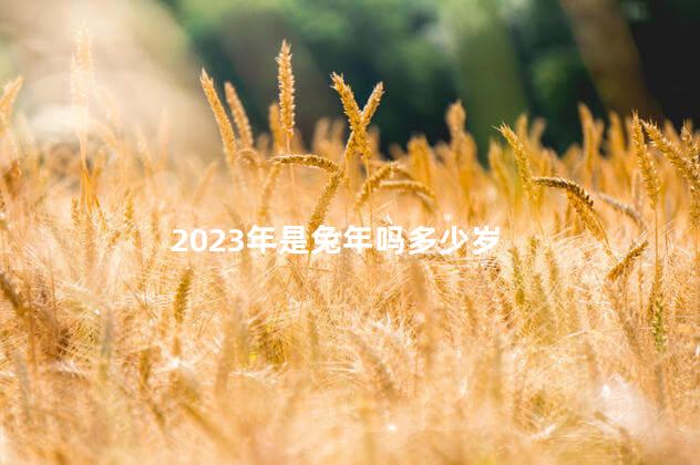 2023年是兔年吗多少岁