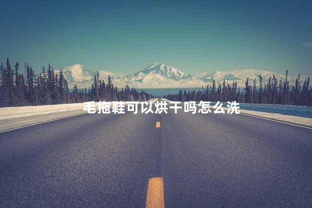 毛拖鞋可以烘干吗怎么洗