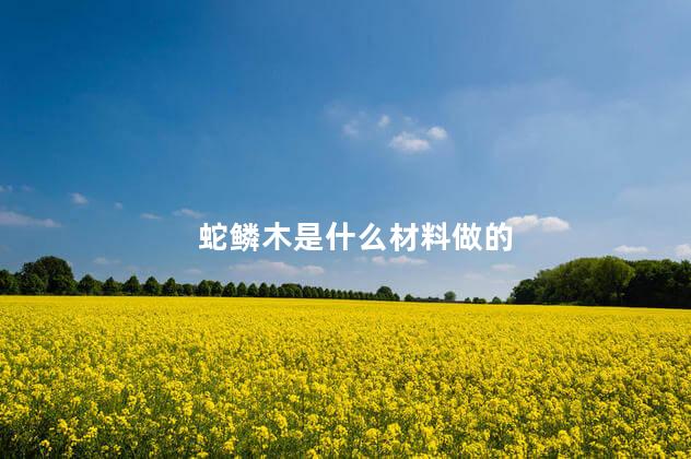 蛇鳞木是什么材料做的