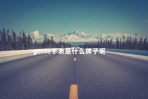 genie手表是什么牌子呢