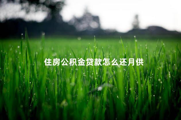 住房公积金贷款怎么还月供