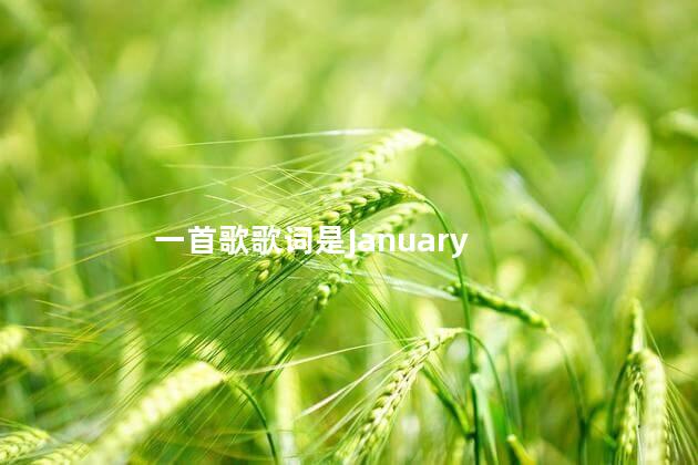 一首歌歌词是January