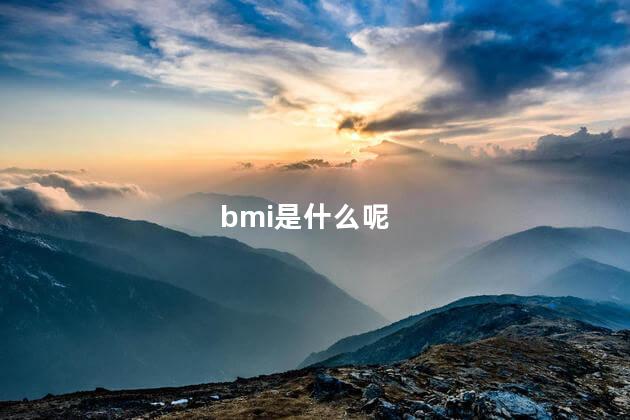 bmi是什么呢