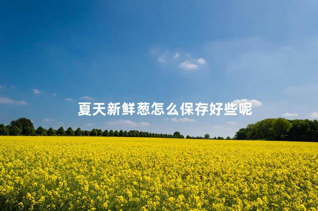 夏天新鲜葱怎么保存好些呢