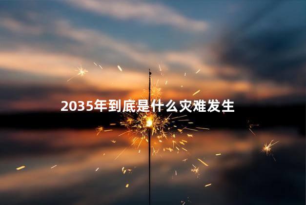 2035年到底是什么灾难发生