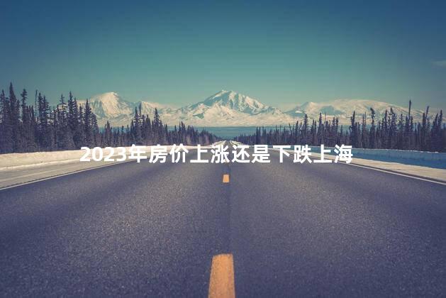 2023年房价上涨还是下跌上海