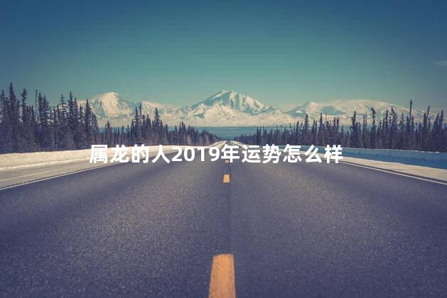 属龙的人2019年运势怎么样