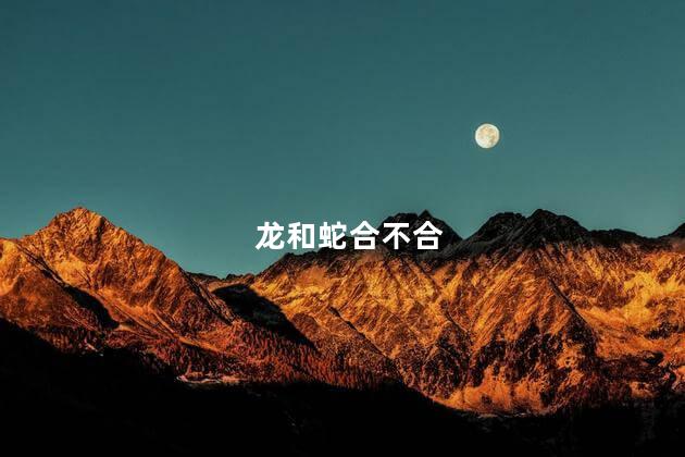 龙和蛇合不合