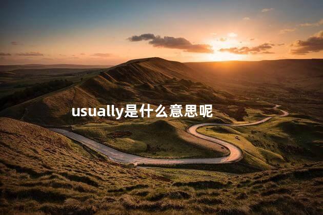 usually是什么意思呢