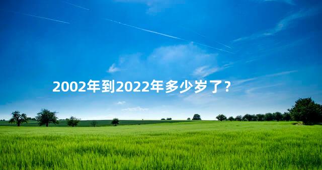 2002年到2022年多少岁了？