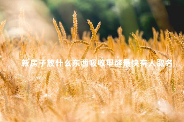 新房子放什么东西吸收甲醛最快有人取名玟字的吗？