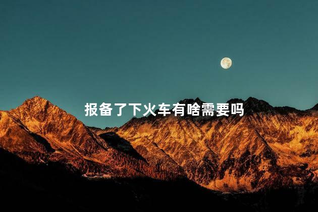 报备了下火车有啥需要吗