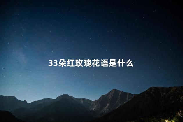 33朵红玫瑰花语是什么