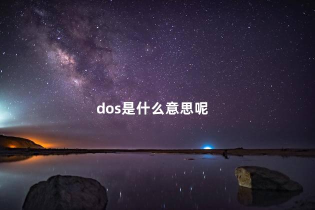 dos是什么意思呢