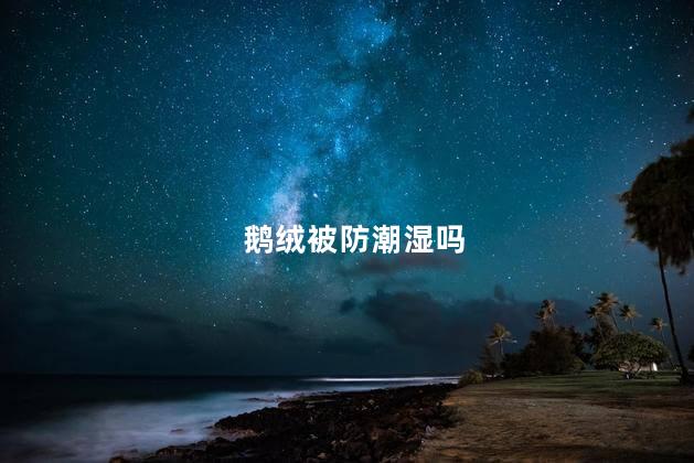 鹅绒被防潮湿吗